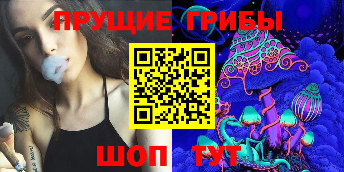 Псилоцибиновые грибы Psilocybine cubensis Лабытнанги