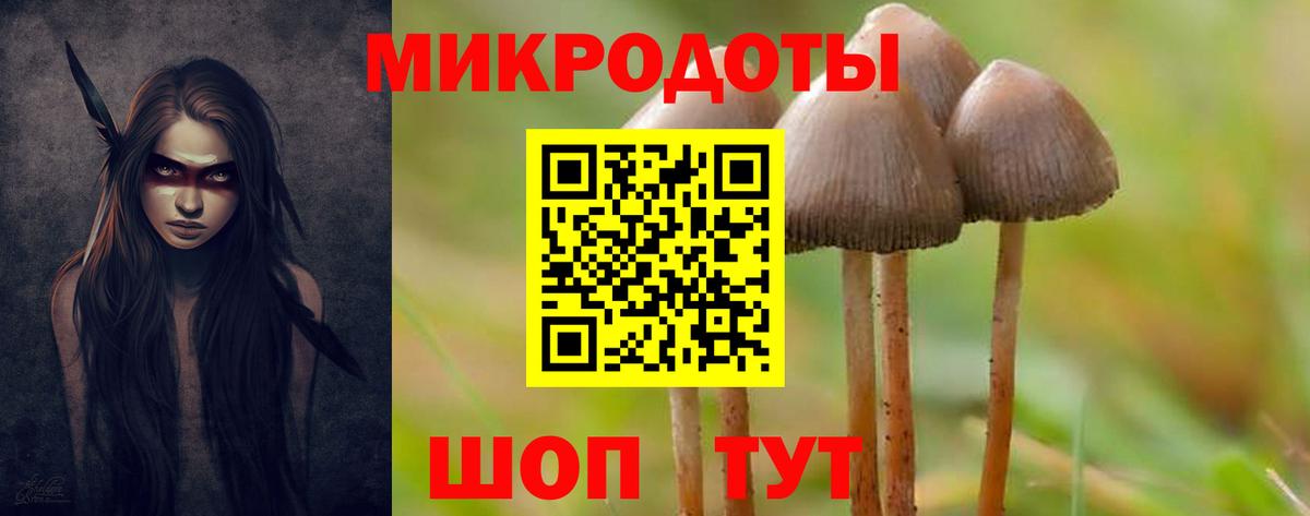 Псилоцибиновые грибы ЛСД  Вход с VPN  Лабытнанги  Галлюциногенные грибы Psilocybine cubensis 